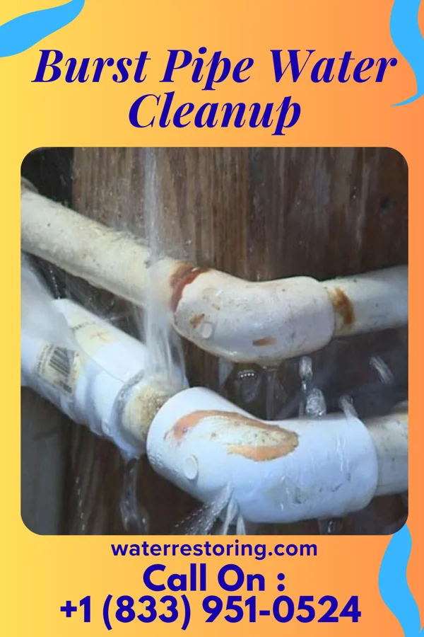 Burst Pipe Water Cleanup in Downsville, MD