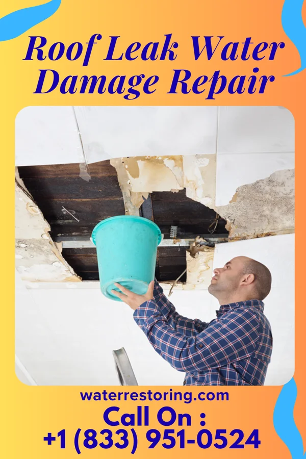 Roof Leak Water Damage Repair in Downsville, MD