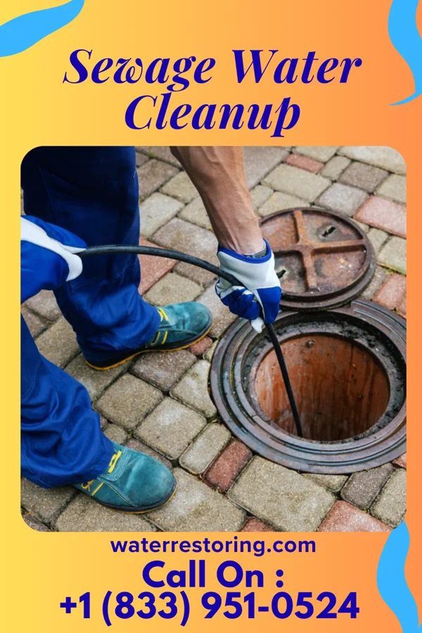 Sewage Water Cleanup in Downsville, MD